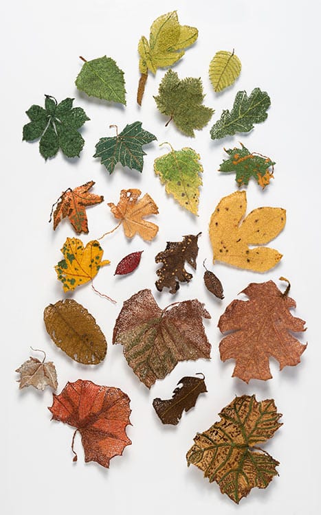 'Leaf Life' - Linda Belden