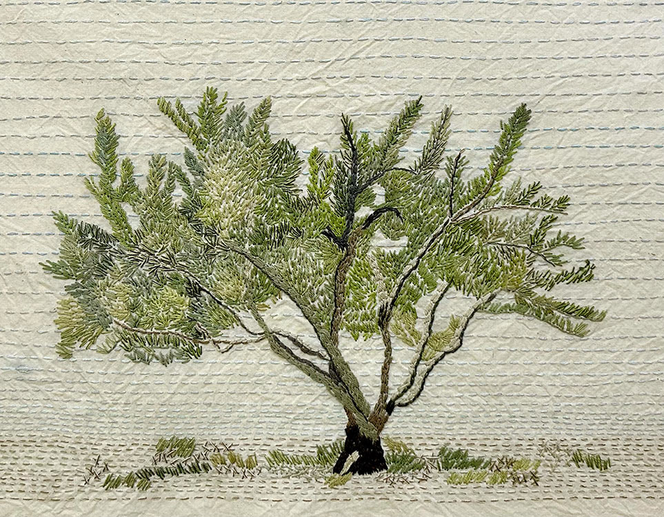 Linda Belden-'Patric's Olive Tree'
